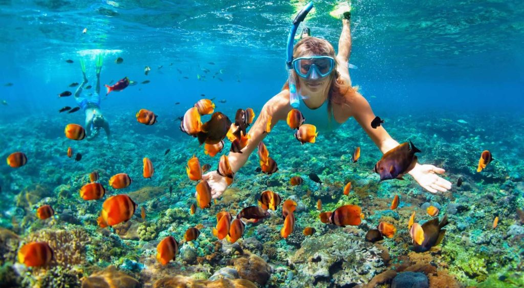 Woman snorkelling surrounded by colourful tropical fish
