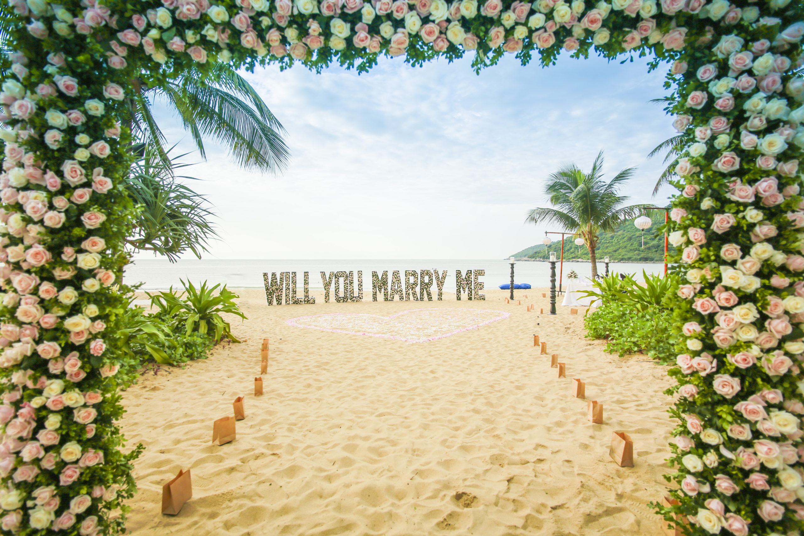 Say Yes! Proposal & Photo Shoot Package