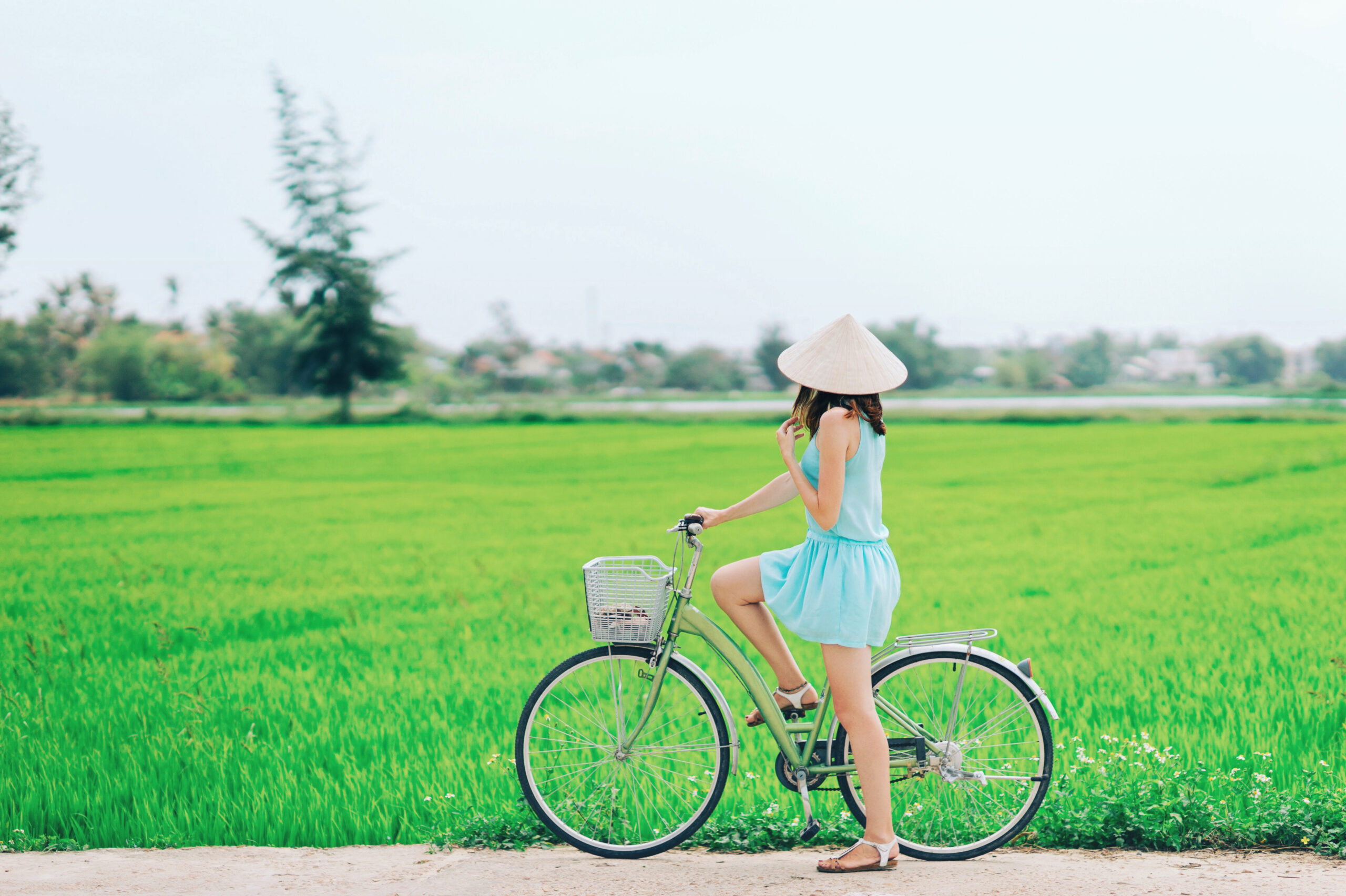 A lady wearing a blue dress and Vietnamese non-la hat, rides a bicycle and overlooks the vast green rice beautiful paddy fields